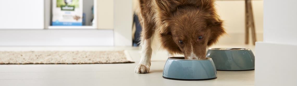 [paste advice page name here]